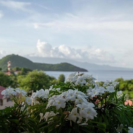Bungalow Anse Figuier Terre-De-Haut Esterno foto
