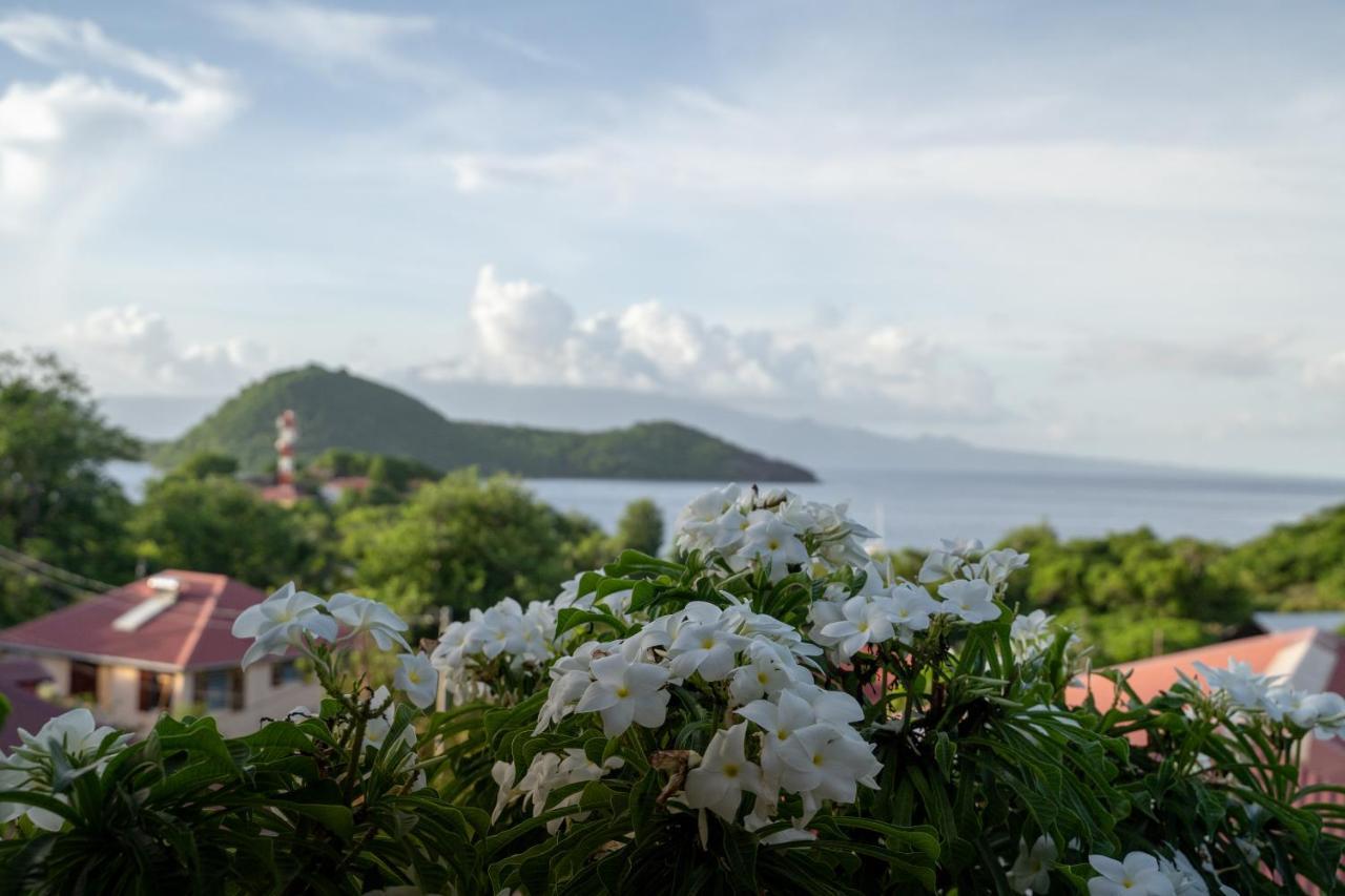 Bungalow Anse Figuier Terre-De-Haut Esterno foto