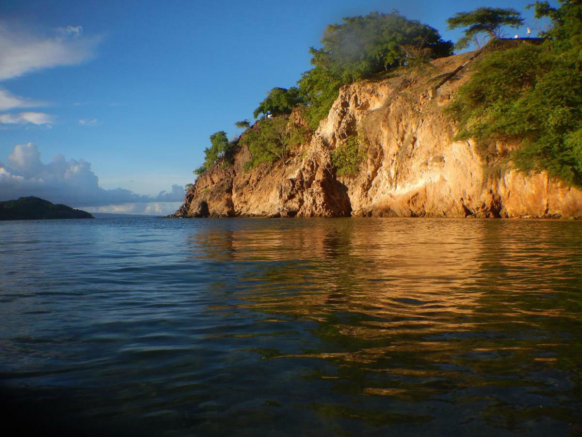 Bungalow Anse Figuier Terre-De-Haut Esterno foto